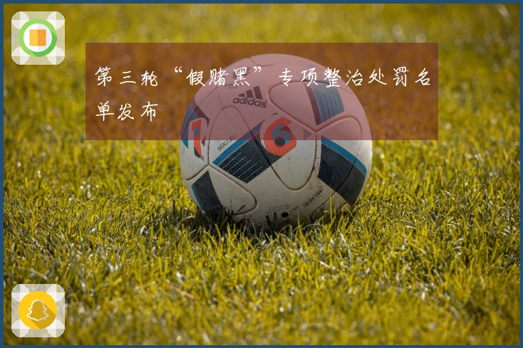 第三轮“假赌黑”专项整治处罚名单发布